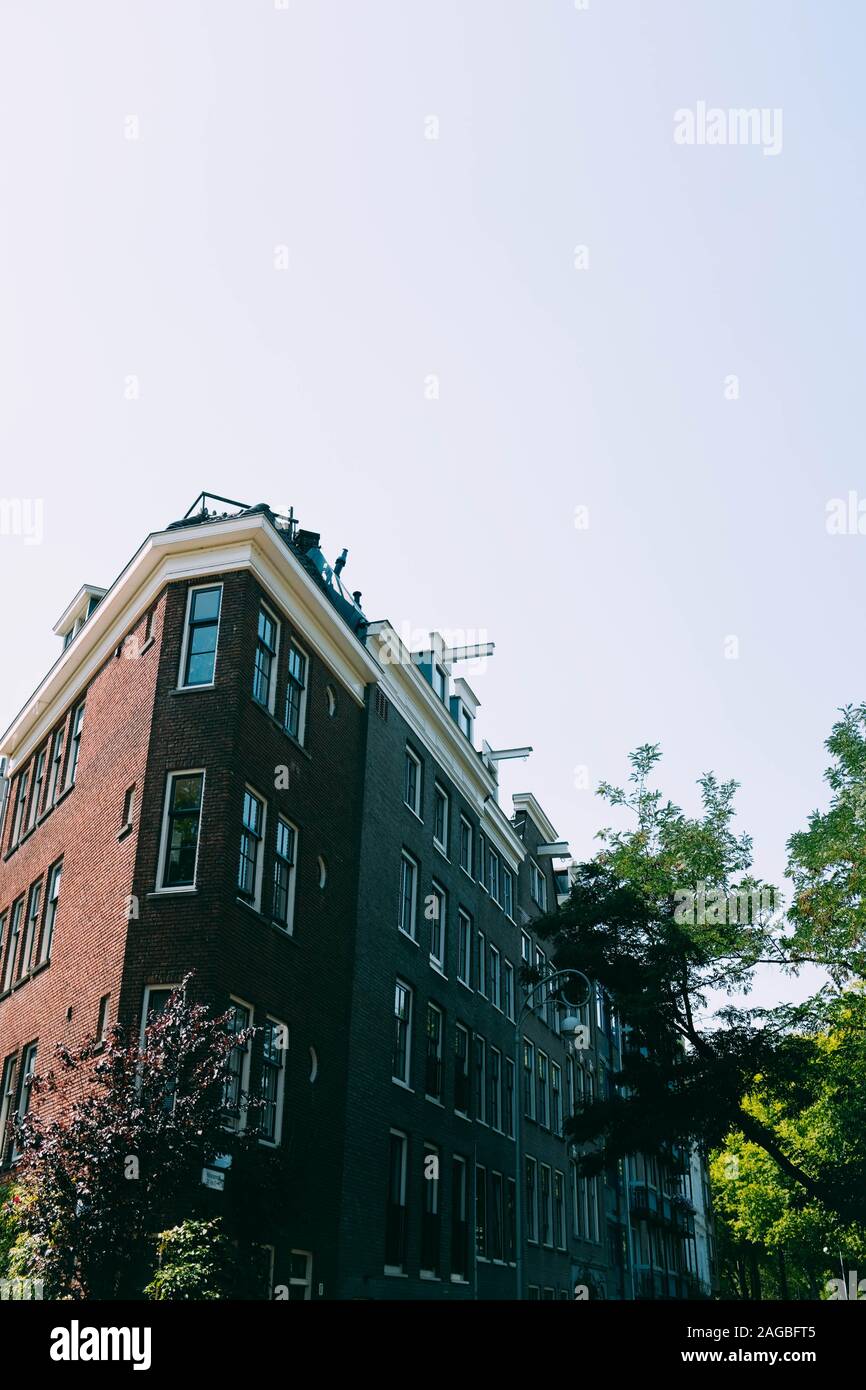 Vertical low angle shot of a brown concrete building surrounded by green trees Stock Photo