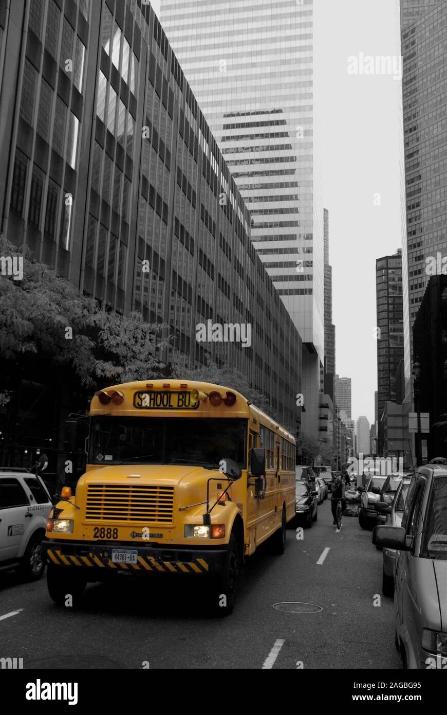 Yellow school bus in New York Stock Photo