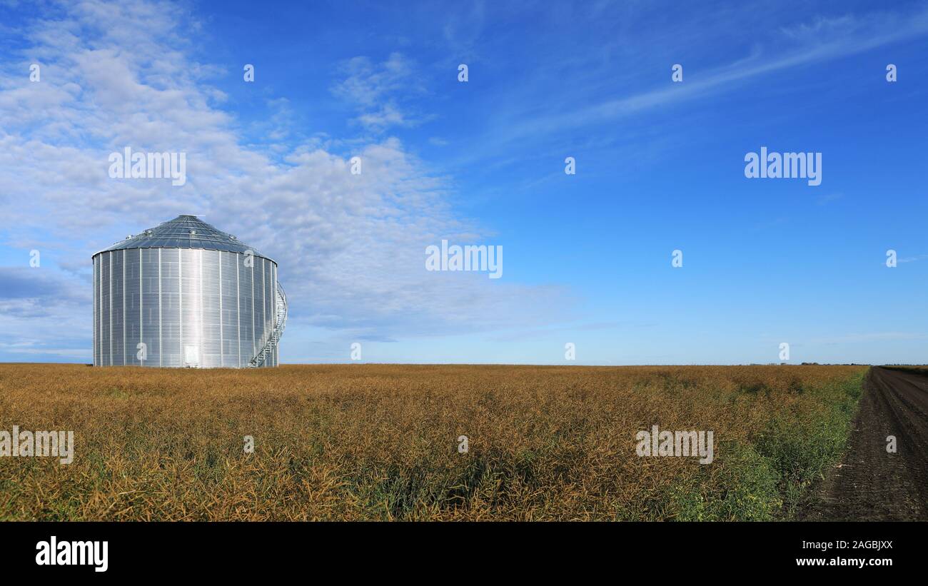 A Large grain bin Saskatchewan prairies, Canada Stock Photo Alamy