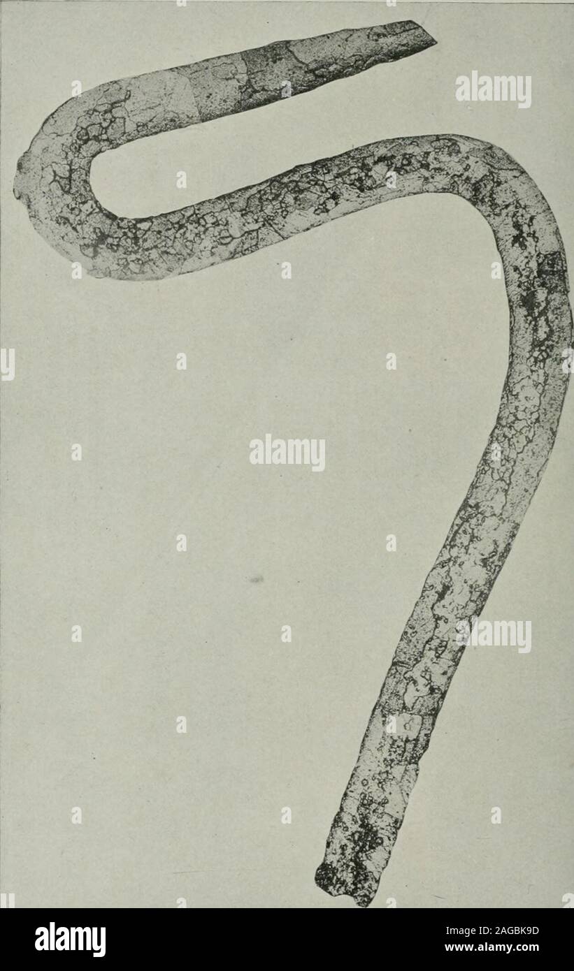 Transactions Cd Zz Hh W O 14 Gt O H Lo E Lo O Cox L L S O 0 Co G A H A O O Transactions Cd Zz Hh W O 14 Gt O H Lo E Lo O Cox L L S O 0 Co G A H A O O