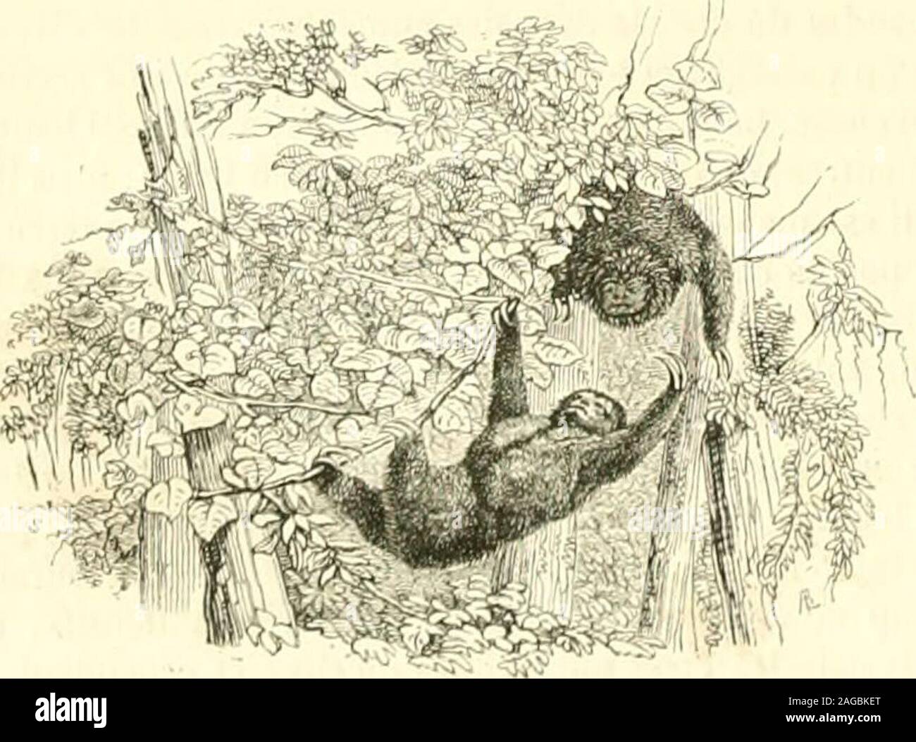 Cas En Bas High Resolution Stock Photography And Images - Alamy