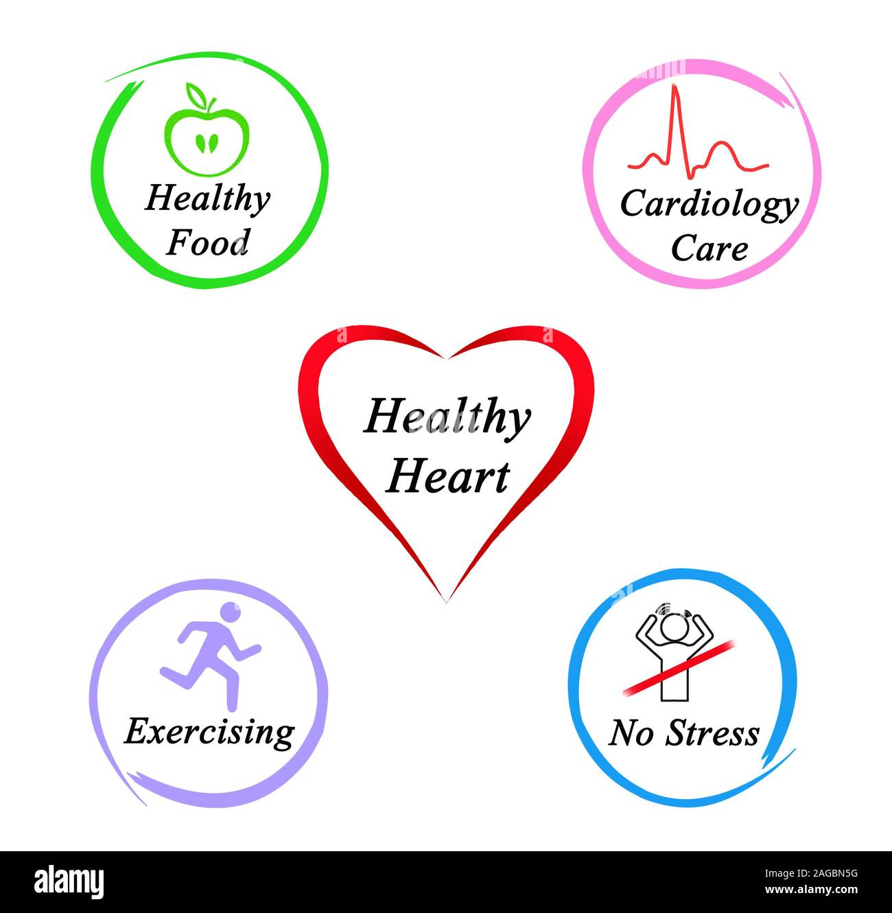 Cardiology activity hi-res stock photography and images - Alamy