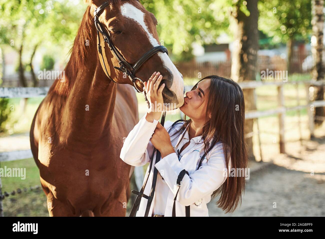 Giving a kiss. Female vet examining horse outdoors at the farm at