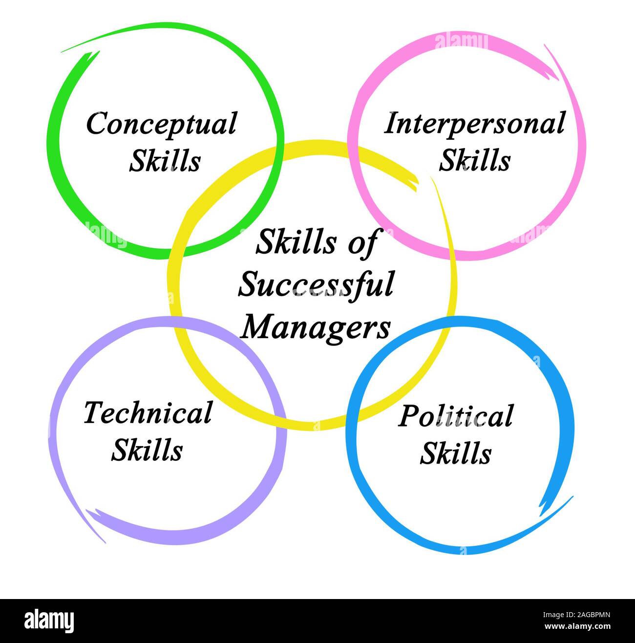 Skills of Successful Managers Stock Photo