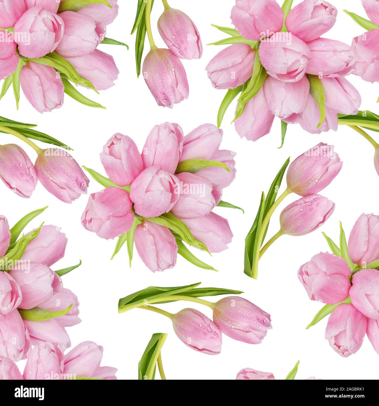 Bouquet of pink tulips flowers isolated on white background as a ...