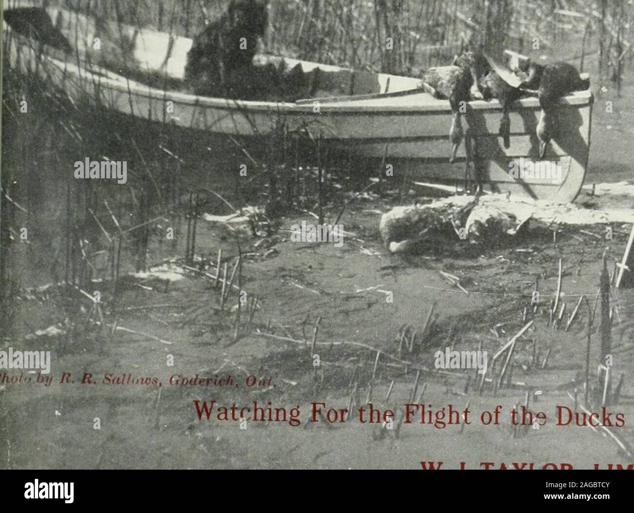 . Rod and gun. m Watching Kor the Fhght of the Ducks W. J. TAYLOR, LIMITED, PUBUShIi ONLY THREE WORKING PARTS Stock Photo