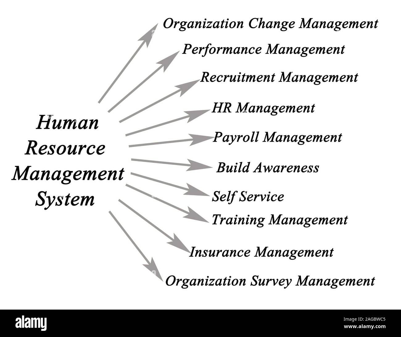 Human Resource Management System Stock Photo - Alamy