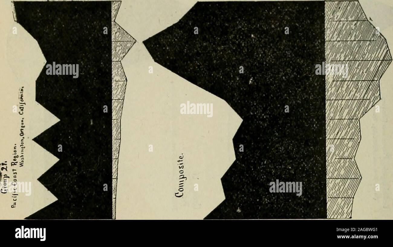 . Annual Report of the State Board of Health of Maryland for the Year Ending December 31, 1903.. t5»sJ 53 AN.NUAL REPORT OF THE. Stock Photo