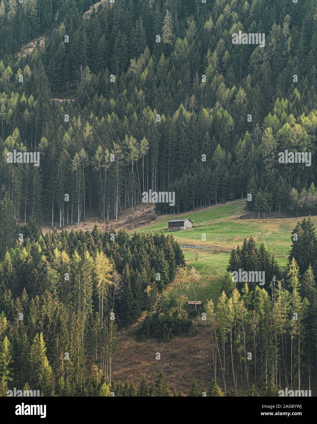 Vertical shot of a cottage on a hill surrounded by beautiful tall trees ...