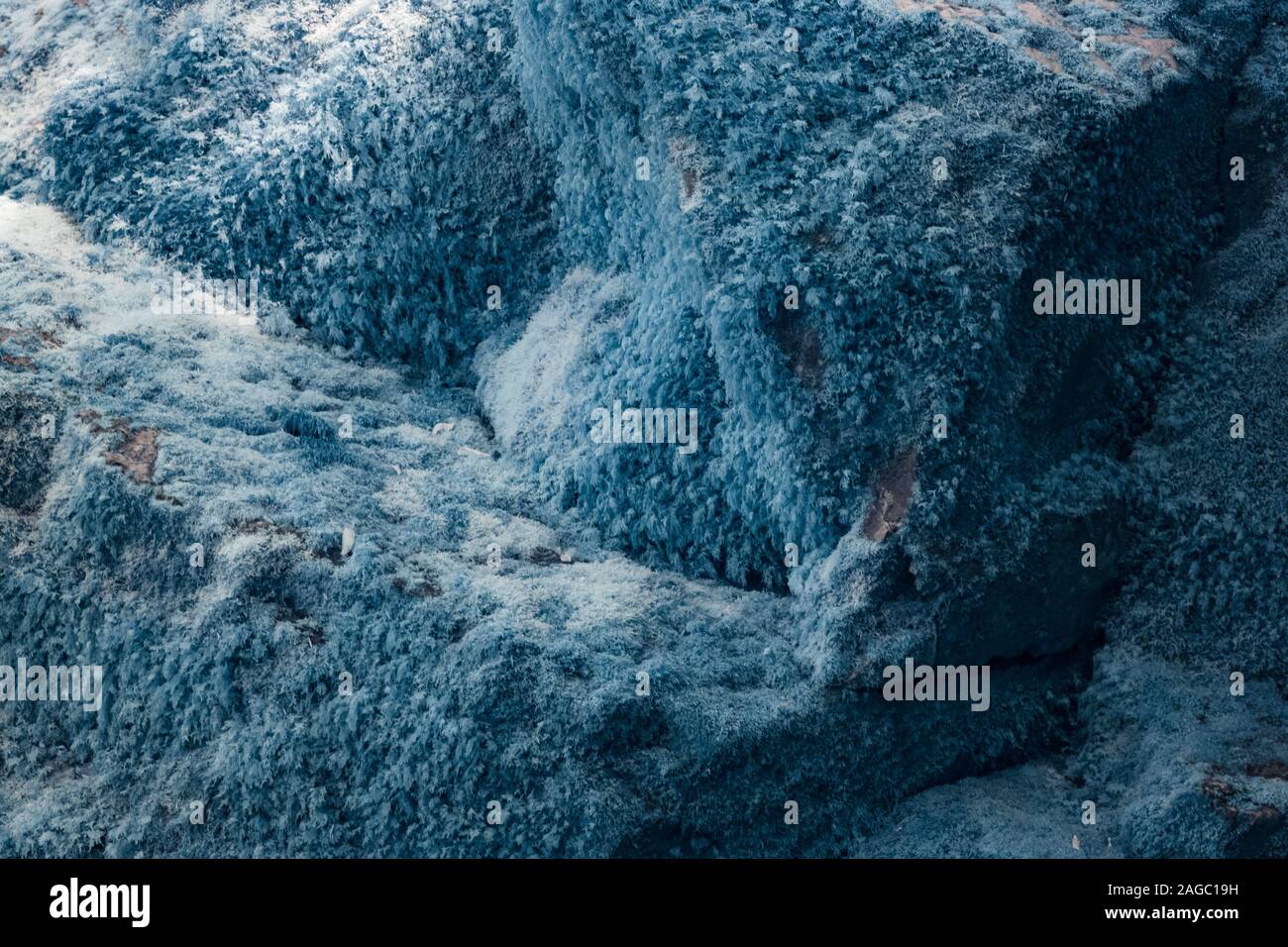 Infrared photograph of the mossy rocks taken in Skrad municipality of Croatia Stock Photo
