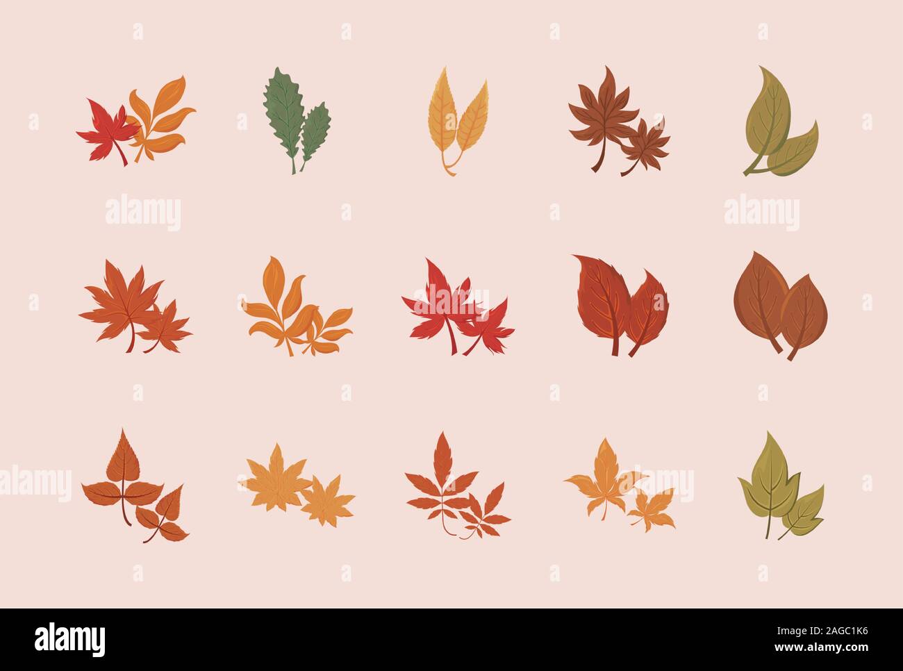 Set Of Autumn Leaves Design Season Nature Ornament Garden Decoration