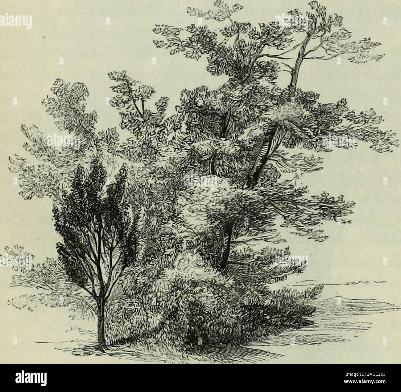 . Palestine the physical geography and natural history of the Holy