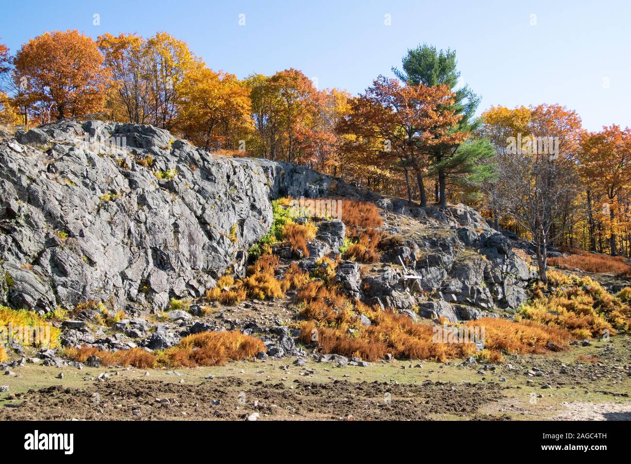 An autumn landscape Stock Photo - Alamy
