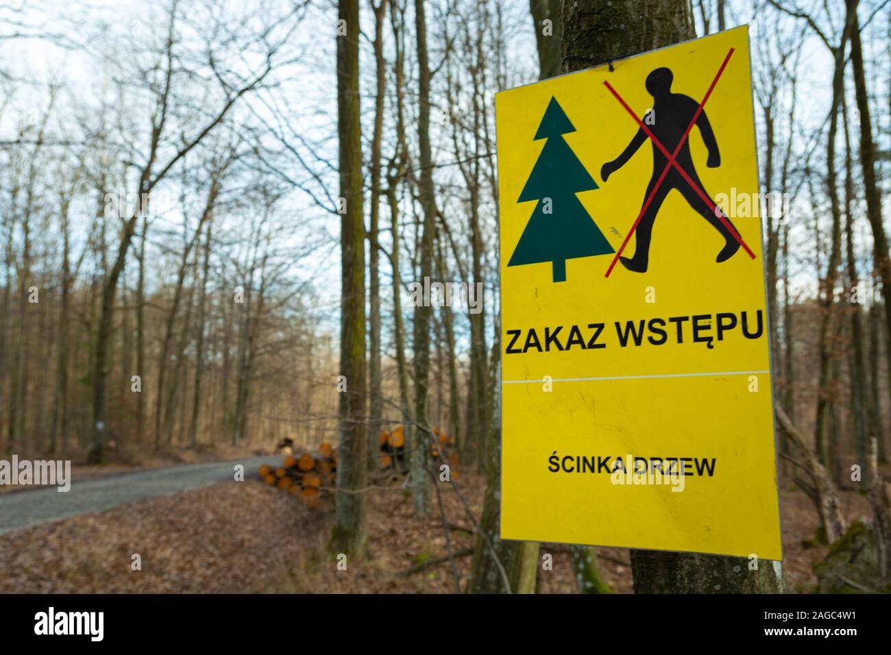Sign prohibiting entering the forest, cutting trees, an array in Polish, autumnal view Stock Photo