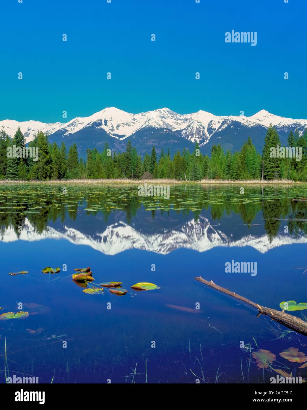 wetland in the swan valley reflecting peaks of the swan range near