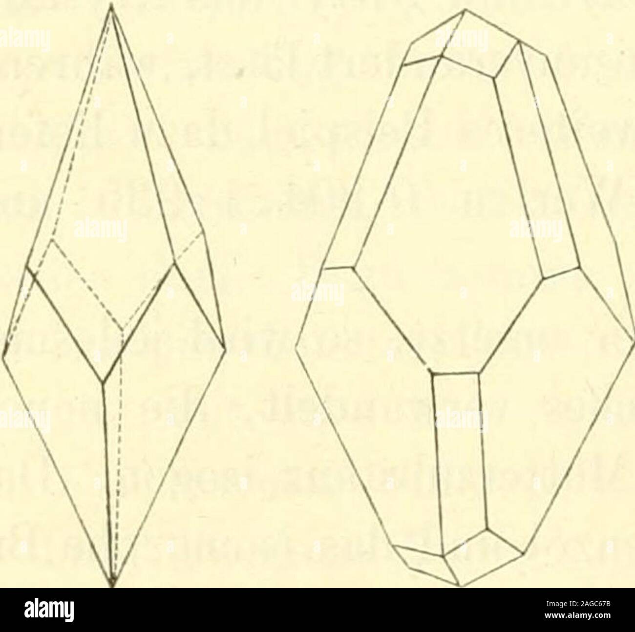 . Lehrbuch der allgemeinen chemie. vielseitiger Körper ist der regulär krystallisierendeSalmiak, welcher, indem er sich hemiedrisch und dabei verzerrt ent-wickelt, sowohl rhomboedrisch hexagonale, wie auch quadratische For-men nachahmt. Schon 1828 hat Marx Salmiakkrystalle von quadratischem Habitus,in Form ditetragonaler Pyramiden beobachtet, die er auch richtig auf unvollständig ausgebildete Ikositetraederzurückführte. Später, 1850, hatte C. F.Naumann *) Gelegenheit, derartige Formen,welche sich bei der Salmiakdarstellung ausGaswasser im Grossen gebildet hatten, ge-nauer zu untersuchen, und s Stock Photo