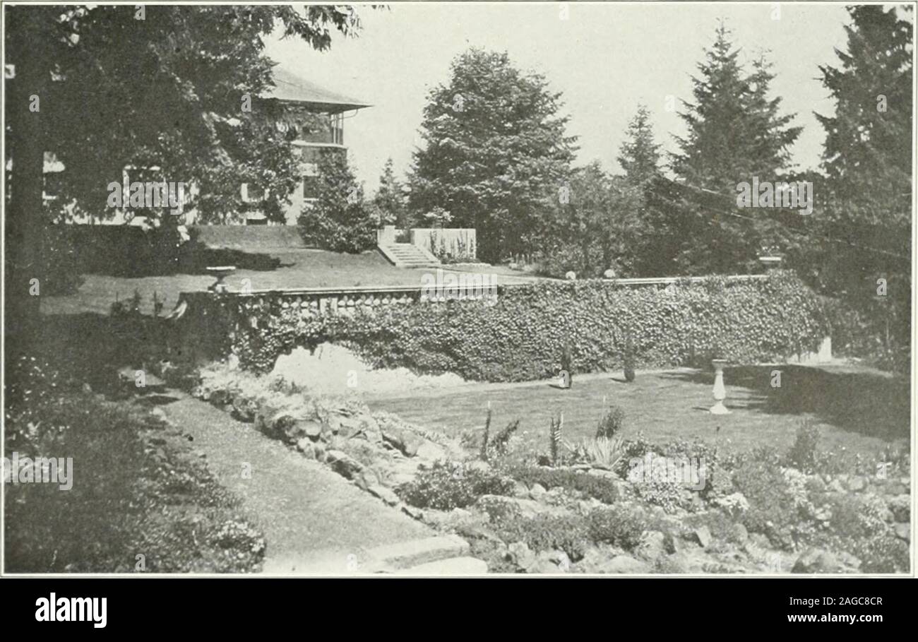 . Beautiful gardens in America. PLATE l62 Rosecrest, Portland Heights, Portland, Ore. Mrs. F. I. Fuller ^ jn •  tr.-.^..-- r-j. A ^m ^^^K^- M^ .*j»f^^;, fr Rt^^ ? .,^j^raHpg s^2r;;V5^,;^v. .w^#--.-.j;^-:-&lt;.--;- . .*? lS -^^^ £ 2S PLATE 163 A garden in three terraces Cliff Cottage, Elk Rock, Portland, Ore. Peter Kerr, Esq.. A rot k garden leading lo formal garden High Hatch, Riverwood, Portland, Ore. Thomas Kerr, Esq. PLATE 164- XVIII ALASKA Last, but not least, comes Alaska; even if last toarrive on the map of the Union, yet not least in size ofterritorj^ or in flowers, and with still anot Stock Photo
