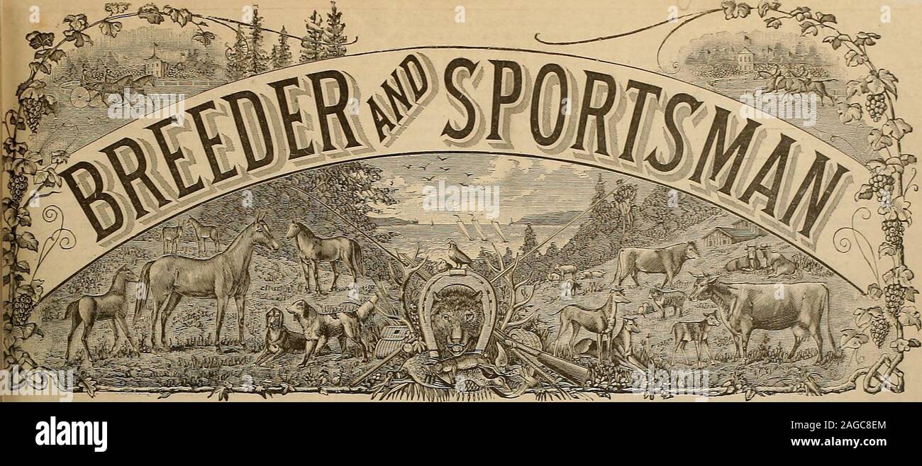 . Breeder and sportsman. Five Cents Per Copy. One Dollar Per Month.. SAN FRANCISCO, SATURDAY, FEBRUARY 29, 1896. SUBSCRIPTION FI7EDOLLAE8AYEAB Letter From Jos. Cairn Simpson. Silver Lake, Susquehanna Co., Peno., Feb. 18, 1896.Oil Twenty-two degrees below zero!! All tbe eagerand nipping airs Shakespeue dreamed of were bland tem-peratures when compared to tbe reality of that intense cold-ness. A bright morning, too, though at this hour, 8:15 A. m,with the sun well above the horizon, the mercury still clingsclose to the bulb. Tbe fervid sunshine and the carpeting ofsnow glittering in tbe sunbeams Stock Photo