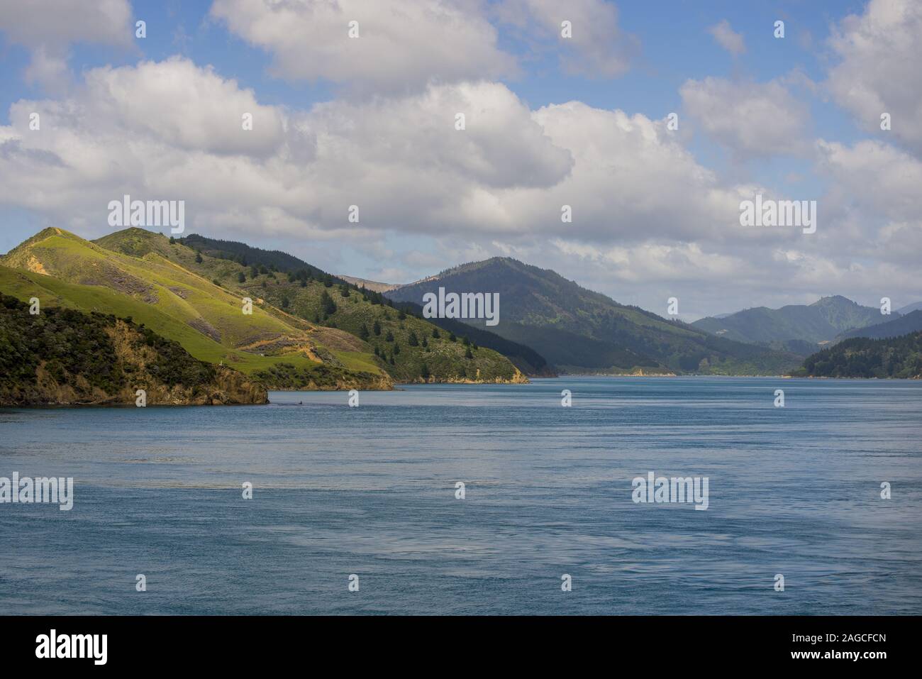 Forrest Landscape High Resolution Stock Photography And Images Alamy