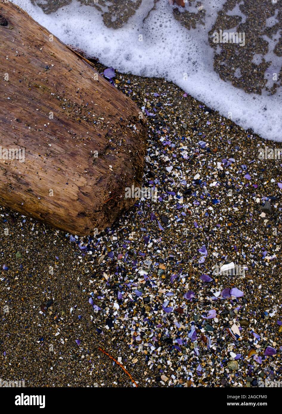 Detail of Sunset Beach, driftwood foaming ocean surf across sand and broken purple shells in Vancouver, British Columbia Stock Photo