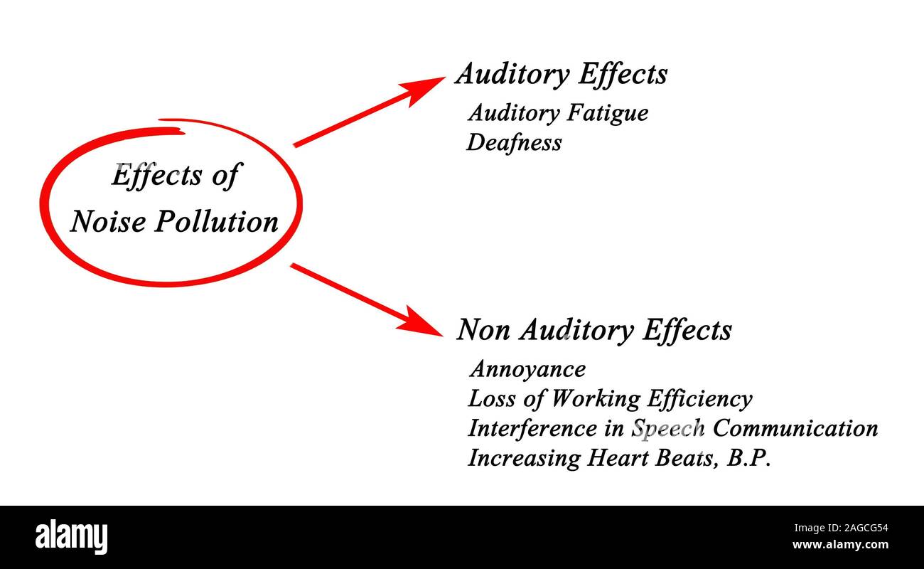 Effects of Noise Pollution Stock Photo Alamy