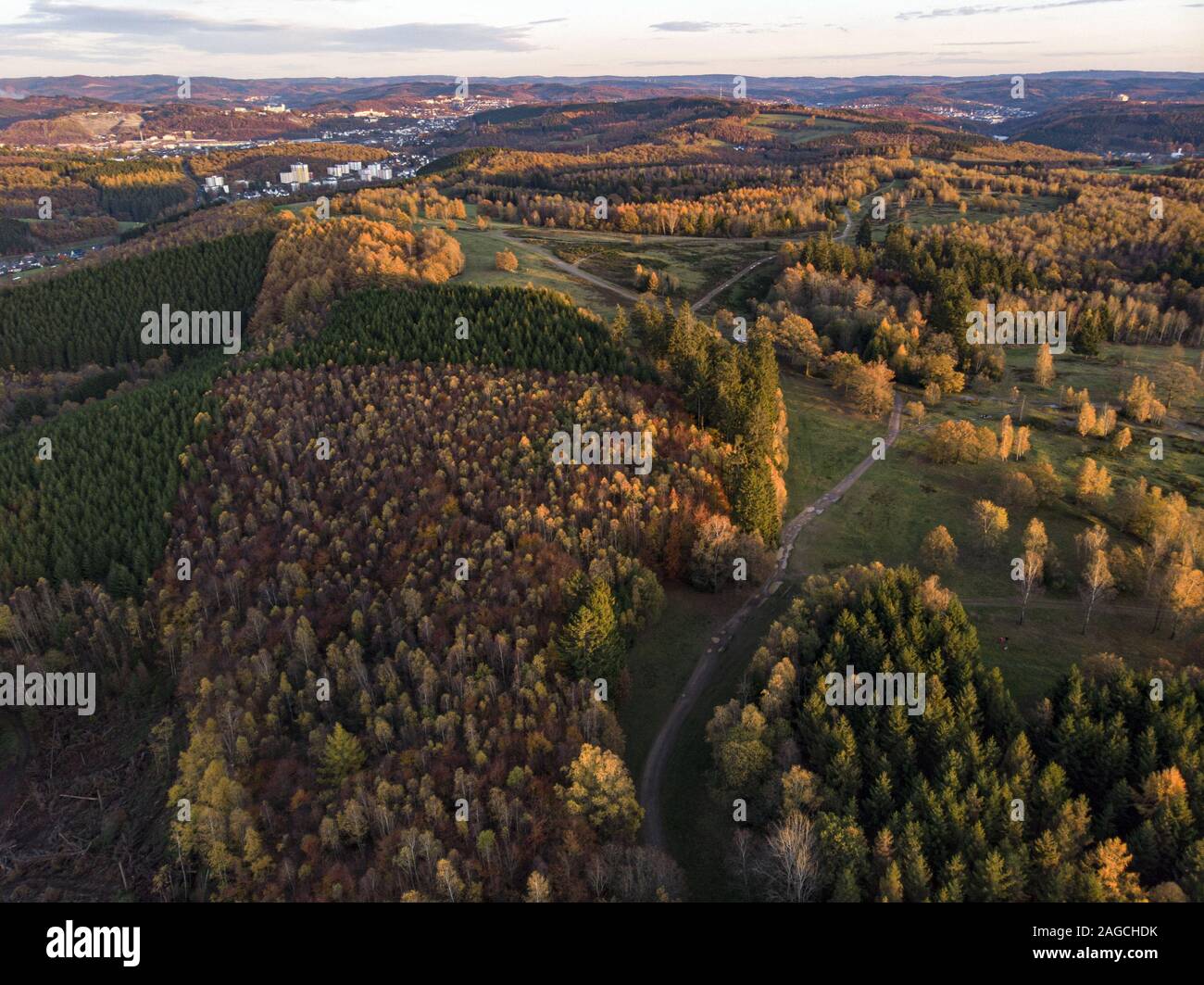 High angle shot of the beautiful trees on a fields captured at day time ...