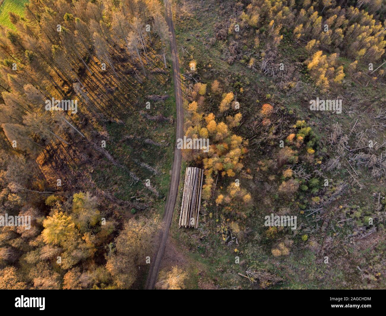 High angle shot of the beautiful trees on a fields captured at day time ...