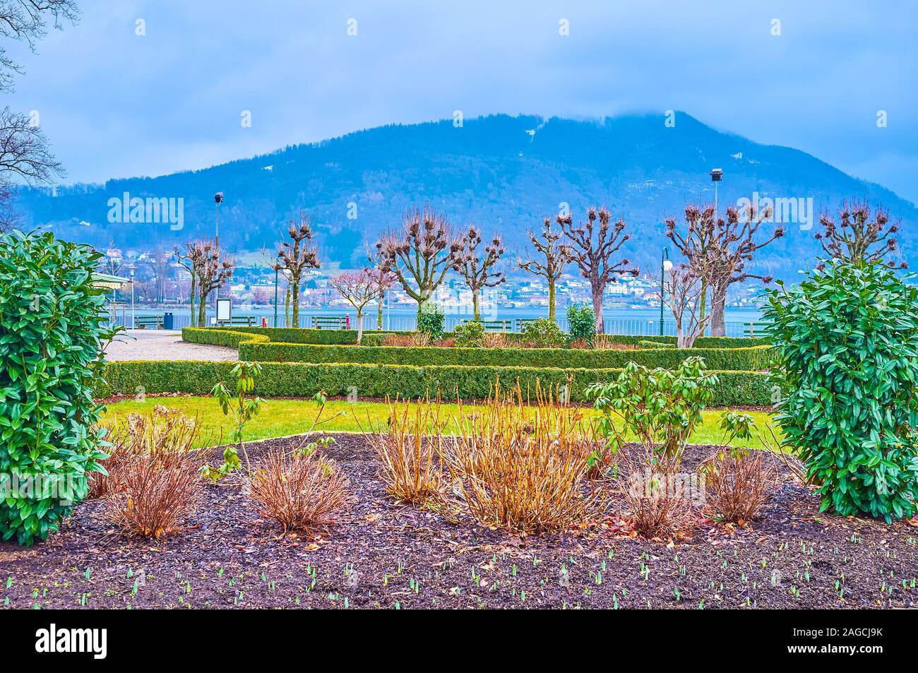 The scenic plants in Kurpark during winter rainy days and the mist on the top of the mountain on the background, Gmunden, Austria Stock Photo