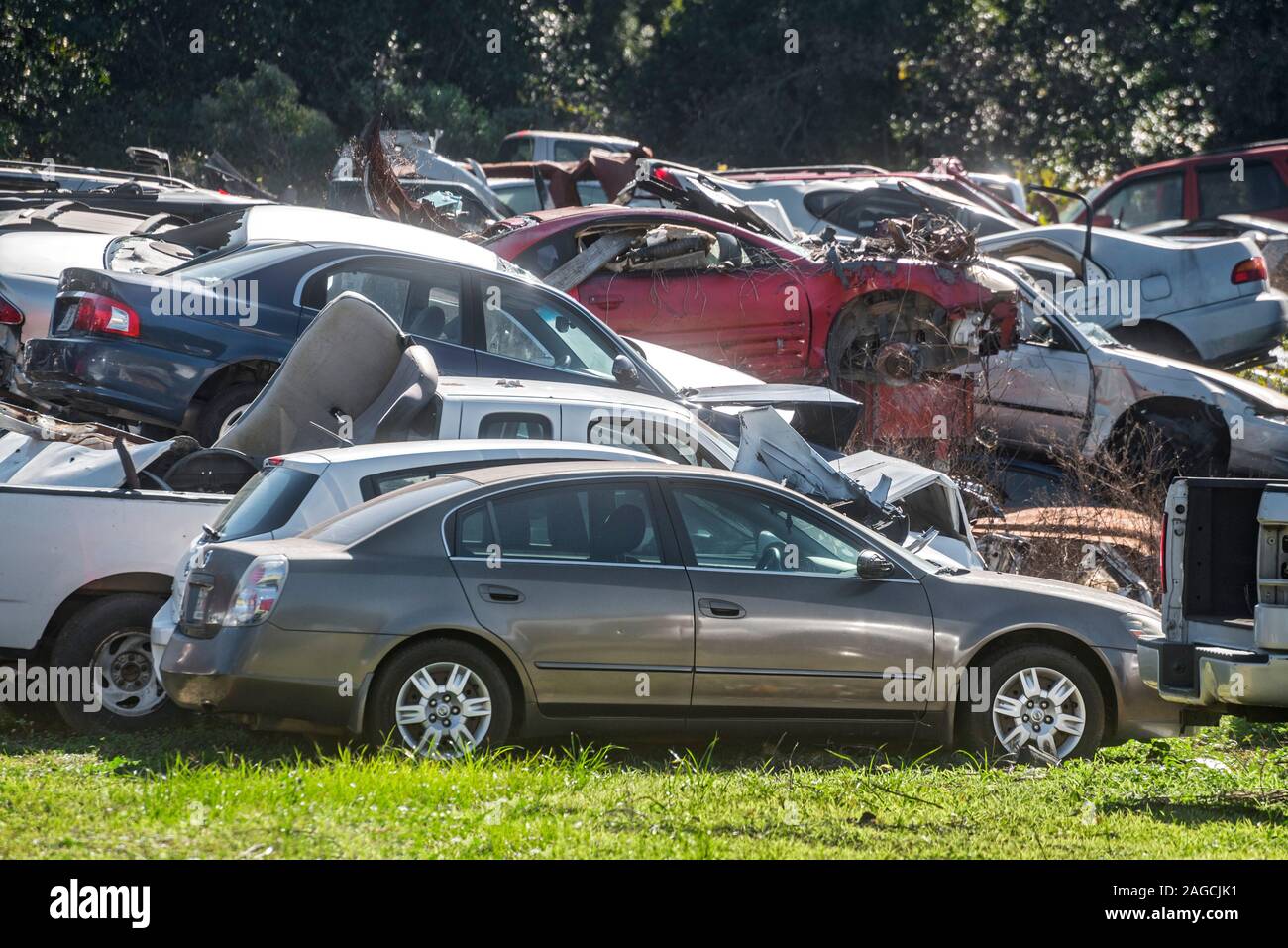Junkyard filled with vehicles of all kinds. Stock Photo