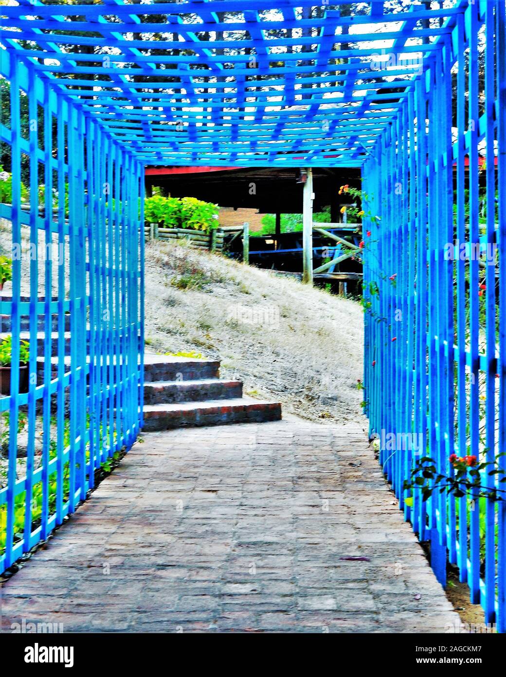 Vertical shot of a path with blue sides leading to a beautiful vacation Stock Photo