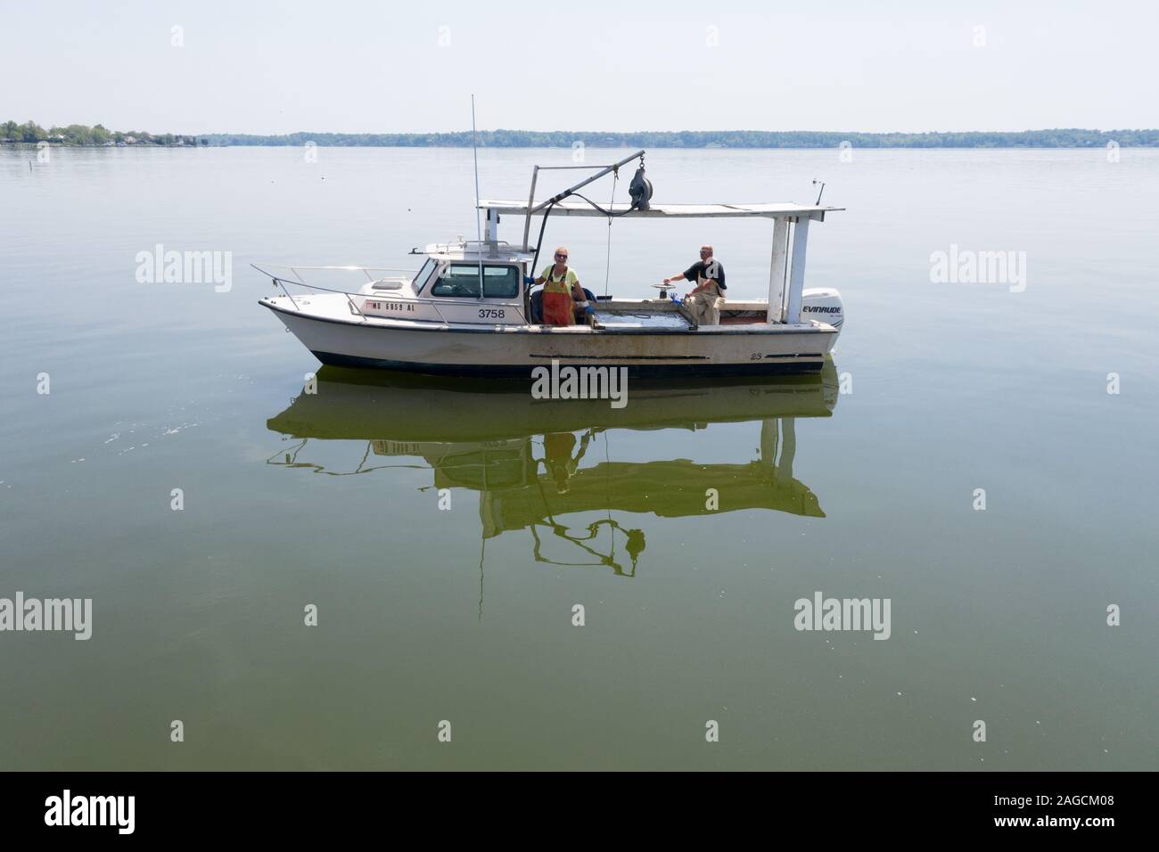 Watermen boating to check on their oysters , St. Leonard, Maryland, USA Stock Photo
