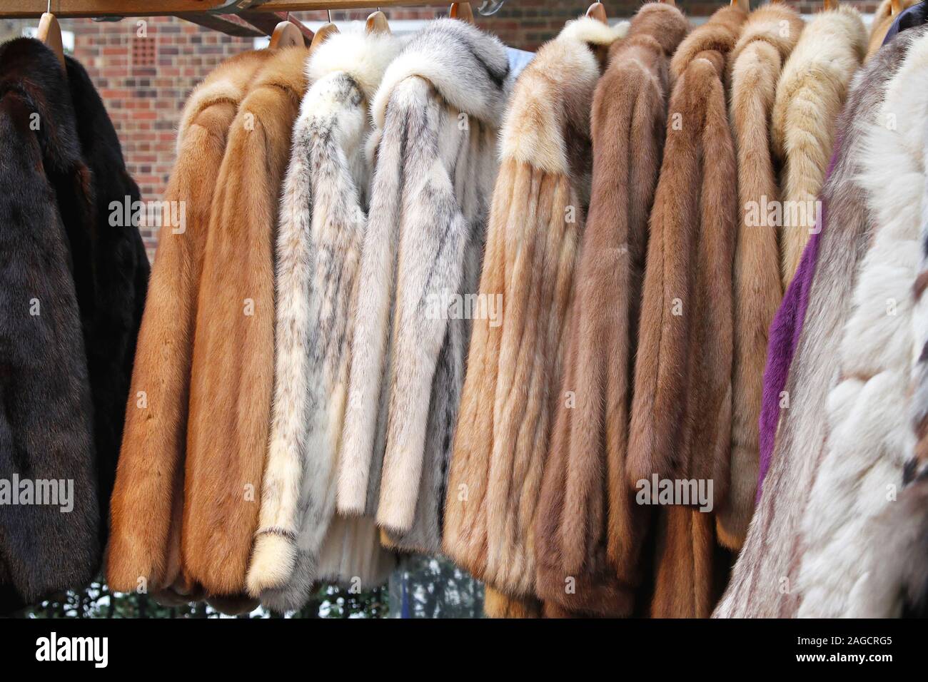 Various animal fur coats at hangers Stock Photo - Alamy