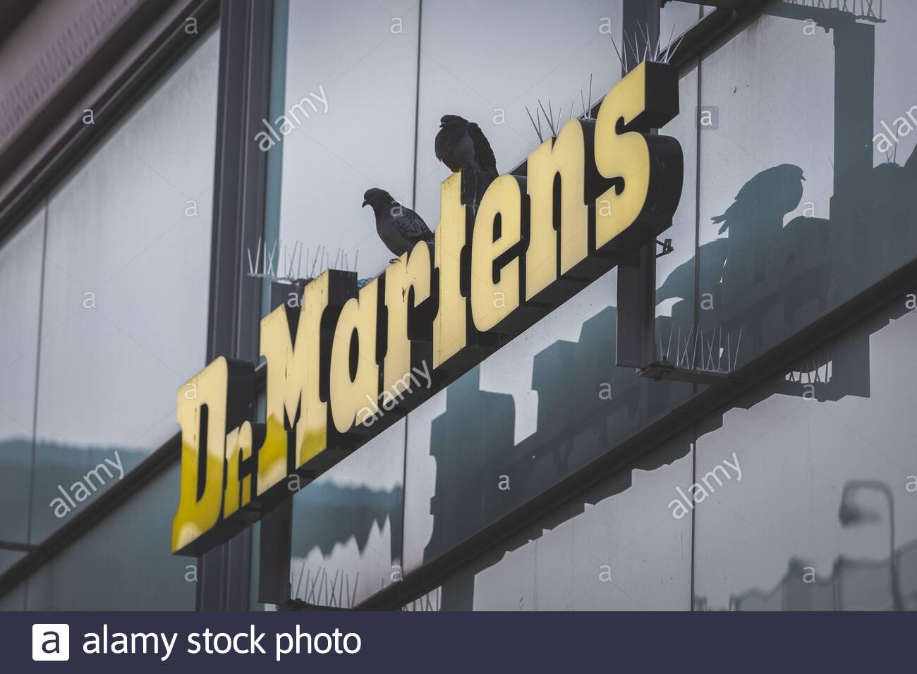 shoe city dr martens