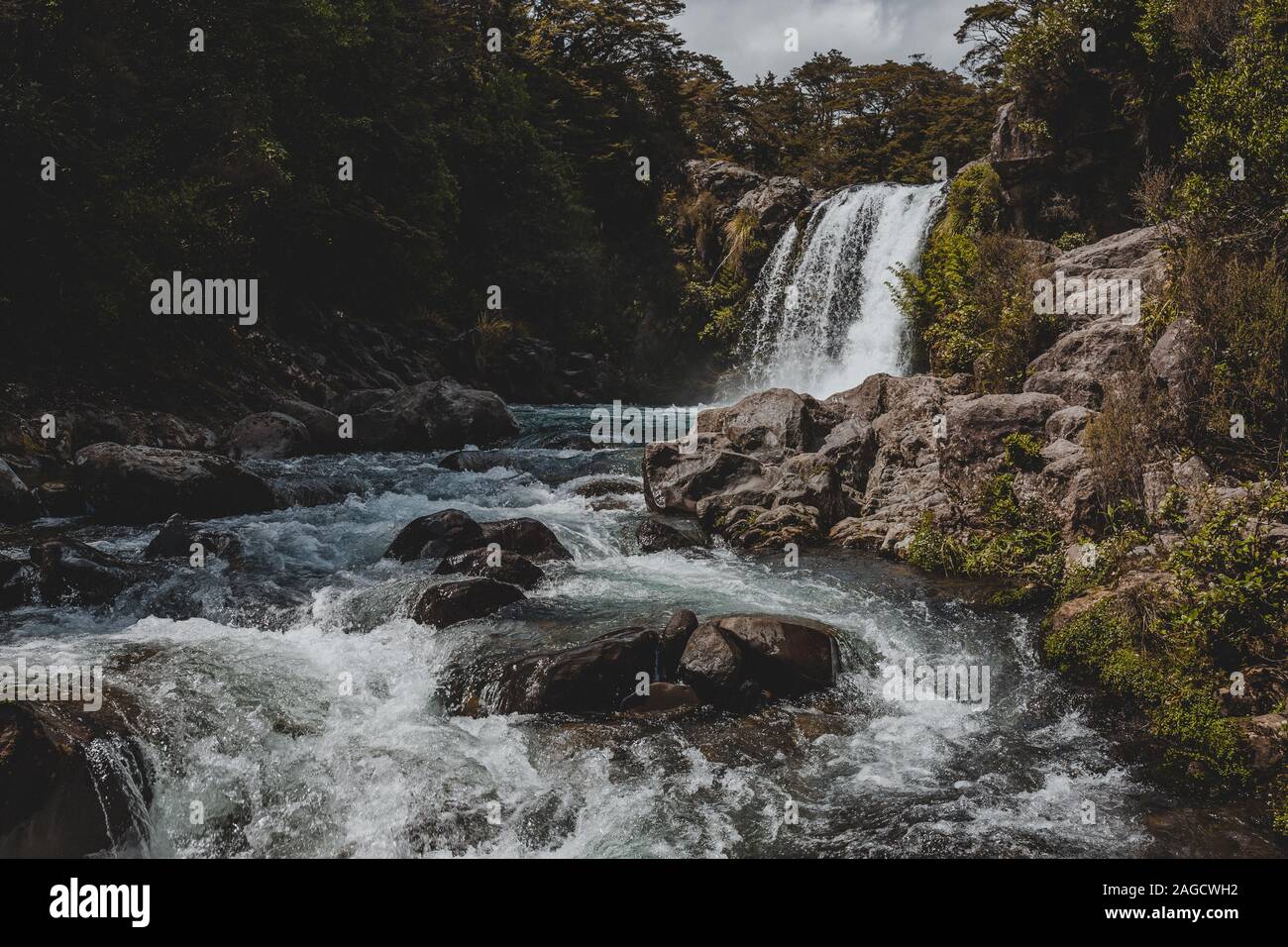 Beautiful scenery of a powerful waterfall in Gollum's Pool, New Zealand  Stock Photo - Alamy, image size:1300x956