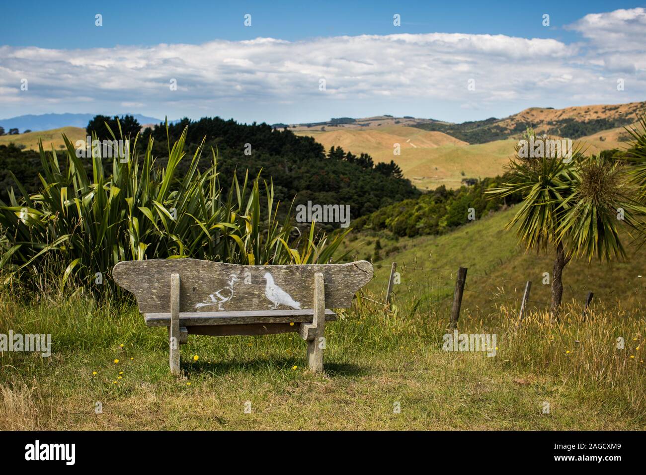 Wooden bench with a painting of doves with the beautiful greenery in the background Stock Photo