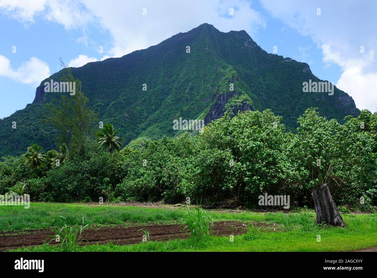 Green landscape view on the island of Moorea near Tahiti in French Polynesia, South Pacific Stock Photo