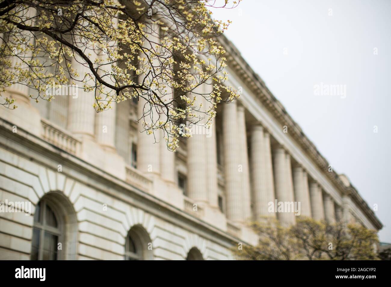 Low angle shot of a white building with concrete columns under the ...