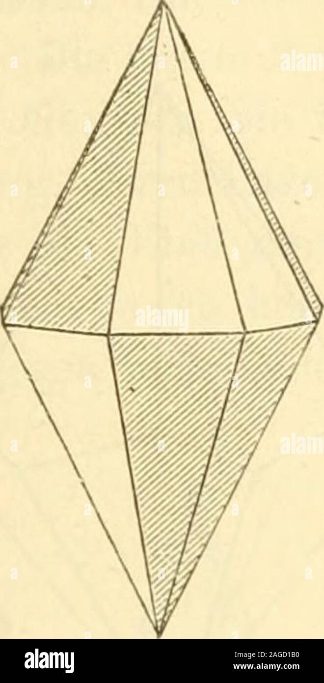 . Lehrbuch der allgemeinen chemie. nquadratischen Körper, der ditetragonalen Pyramide ausgehend, kann manzu drei verschiedenen Hemiedrien gelangen, welche sämtlich beobachtetworden sind. Durch Wegfallen der abwechselnden Flächen, Fig. 87, entstehen dieGestalten Fig. 88a und b, welche tetragonale Trapezoeder genanntwerden. Nach ihnen hat die Hemiedrie den Namen der trapezoedrischenbekommen. Dieselben sind enantiomorph. Wendet man dasselbe Bil-dungsgesetz auf die einfacheren Formen an, so erleiden dieselben keineVeränderung, wie man leicht erkennt, wenn man in Fig. 87 die den an-deren Gestalten Stock Photo