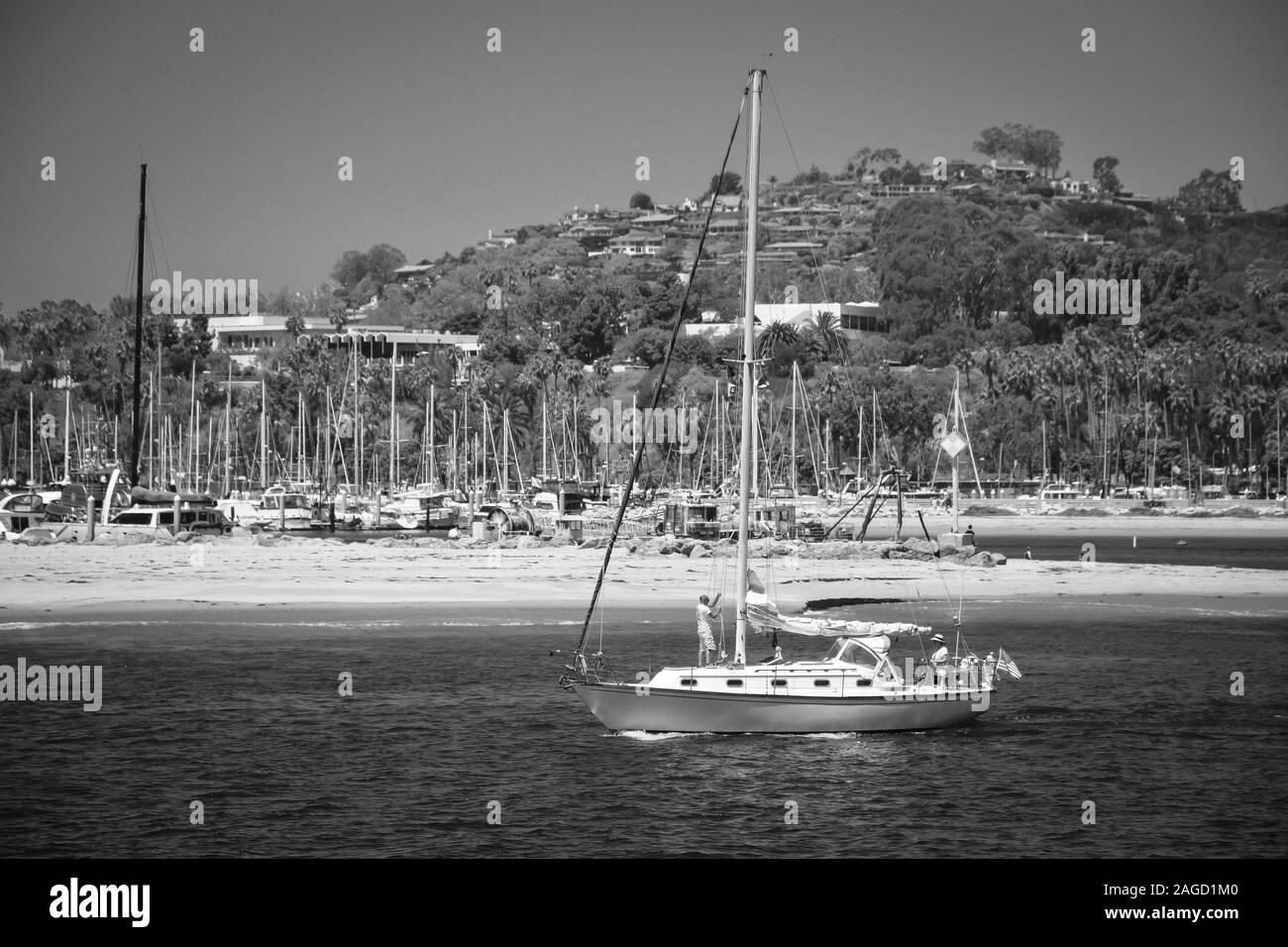 A man hoist the main sail while a woman steers a sailboat out of the Santa Barbara harbor towards the Pacific in Santa Barbara, CA, in black and white Stock Photo