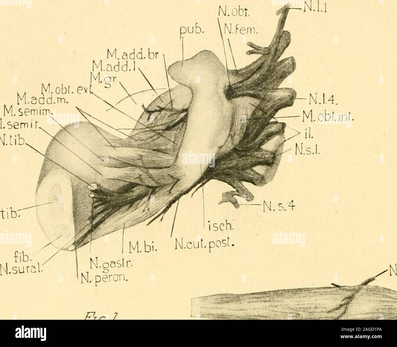 Vi Stock Photos Vi Stock Images Page 6 Alamy