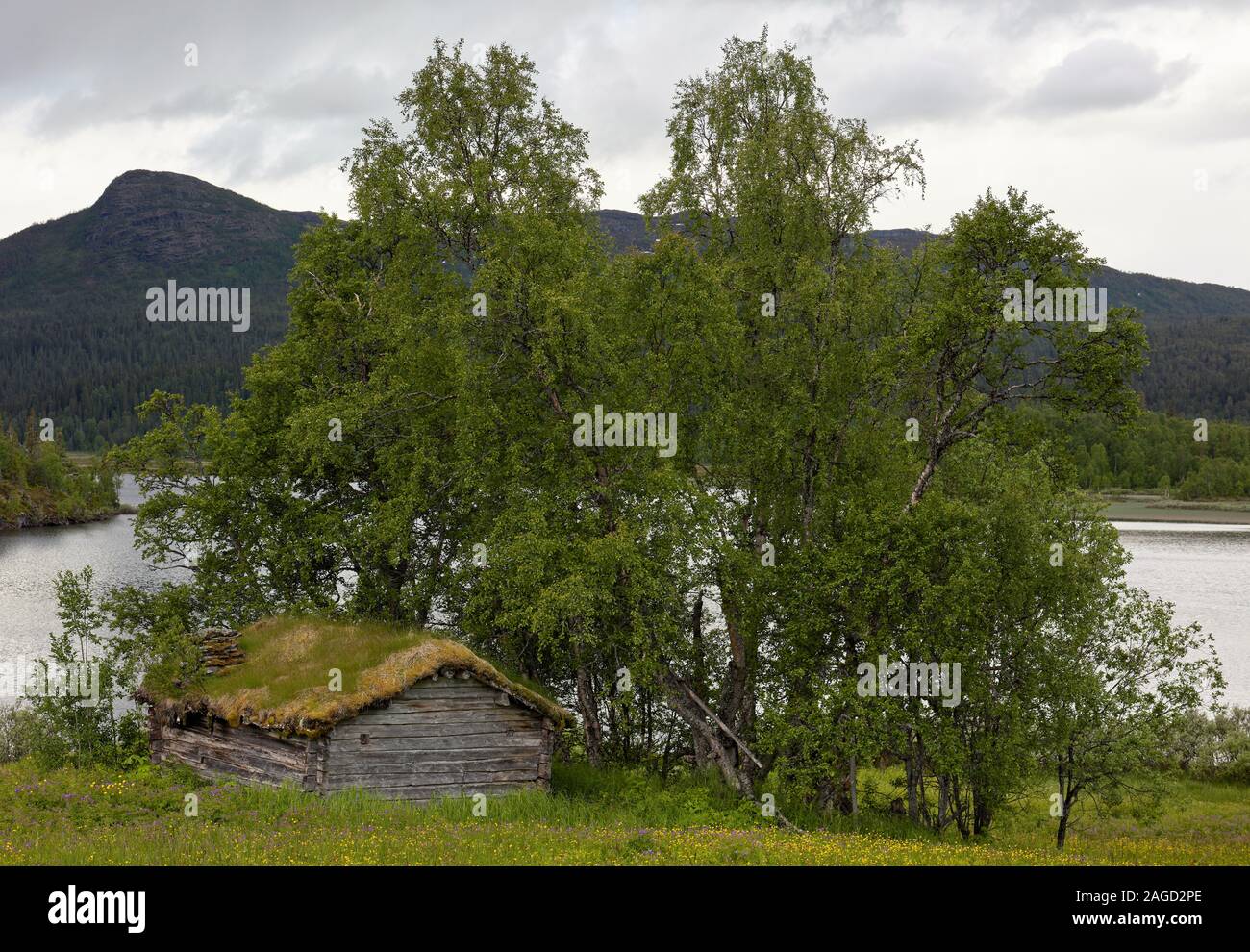 Wooden cottage with green roof in Leipikvattnet, near Bjurälven, near Wilderness Road (Vildmarksvägen), Sweden Stock Photo