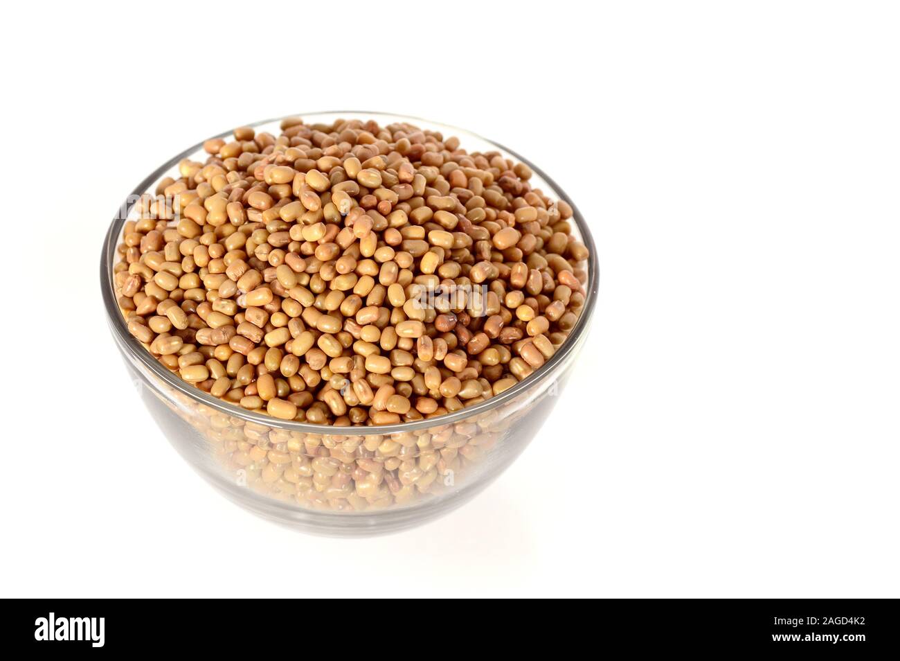 Closeup Of Moth Beans, Indian name Matki, Closeup of moth beans a