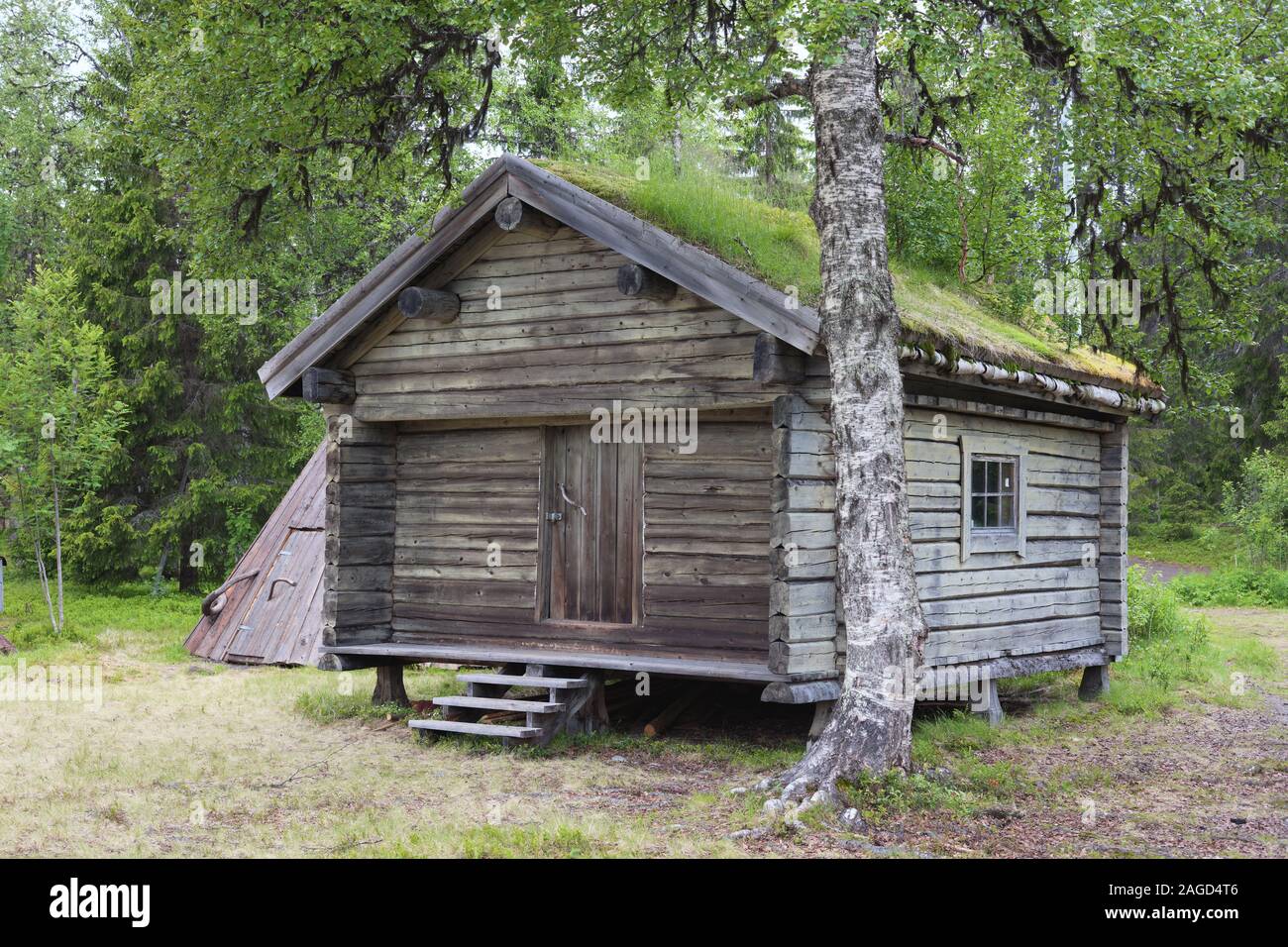 House with vegetation on its roof and a sami cot behind, in Ankarede, Sweden Stock Photo