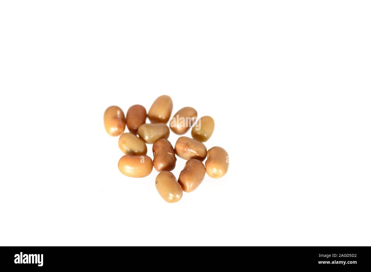 Closeup Of Moth Beans, Indian name Matki, Closeup of moth beans a