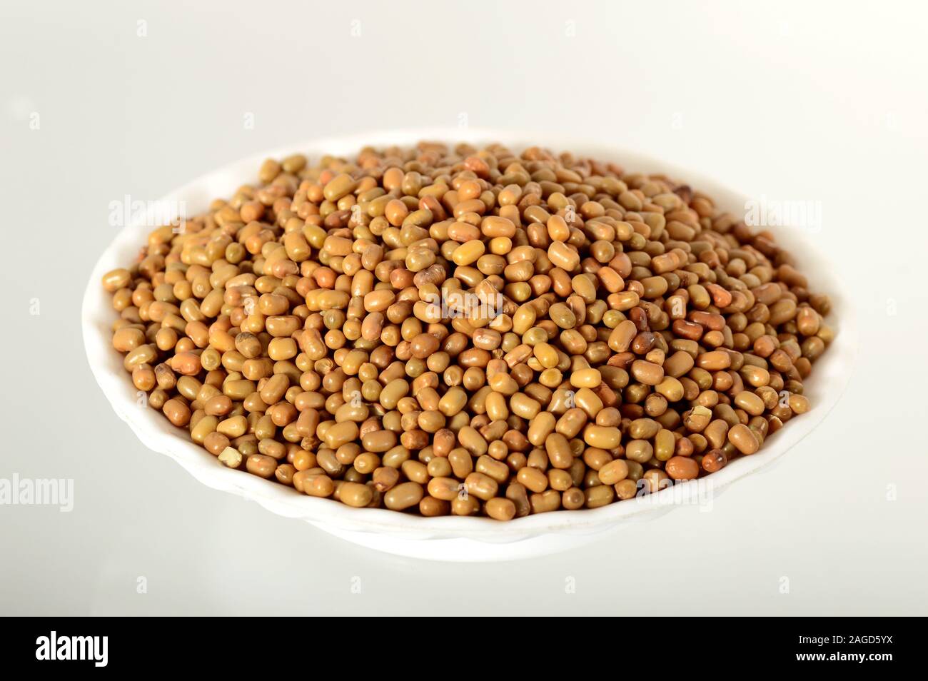 Closeup Of Moth Beans, Indian name Matki, Closeup of moth beans a