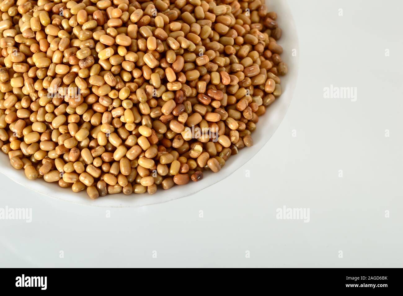 Closeup Of Moth Beans, Indian name Matki, Closeup of moth beans a