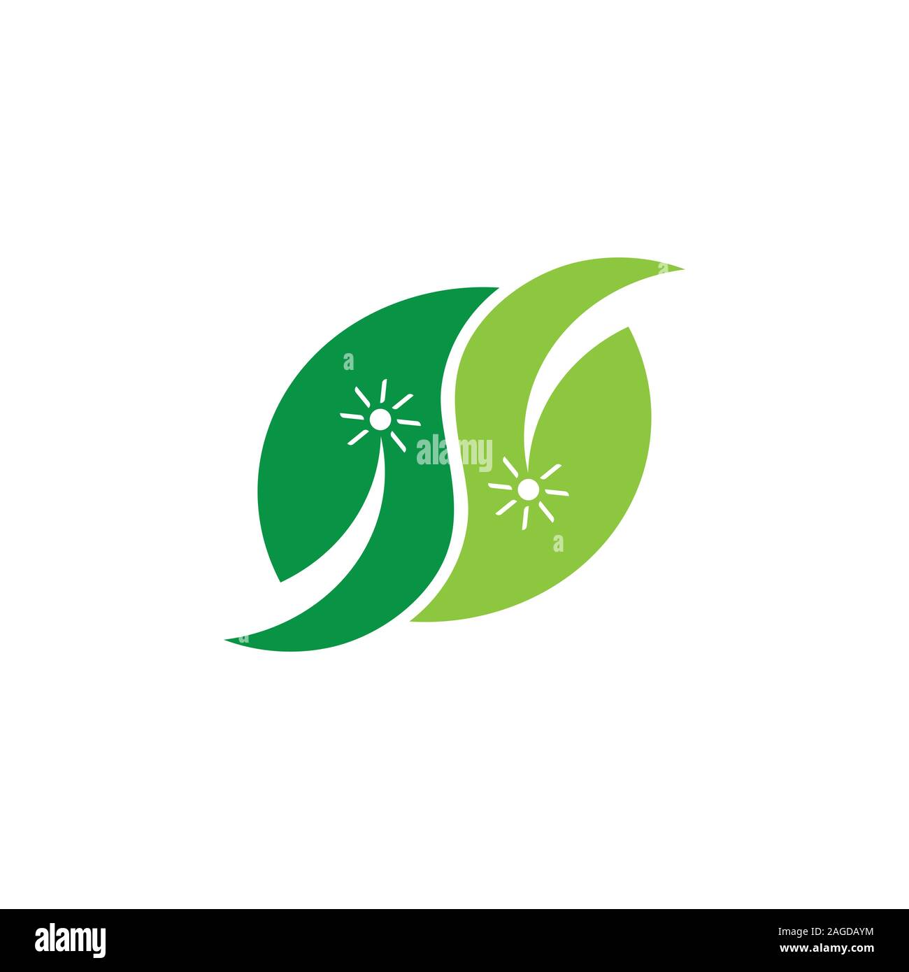 leaf sun curves geometric logo vector Stock Vector