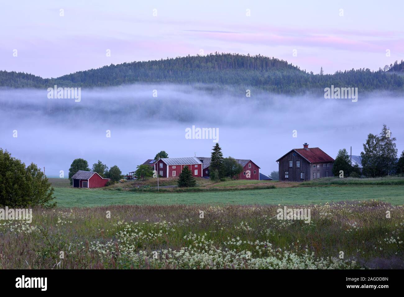 Houses in High Coast, Sweden Stock Photo Alamy