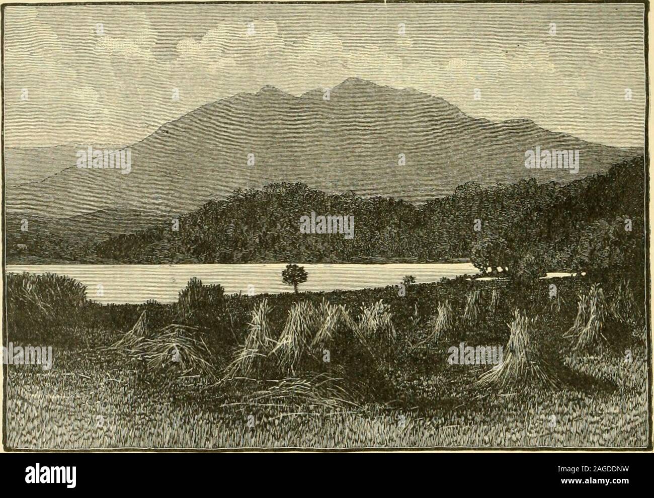 Walter Stock Photos Walter Stock Images Page 86 Alamy
