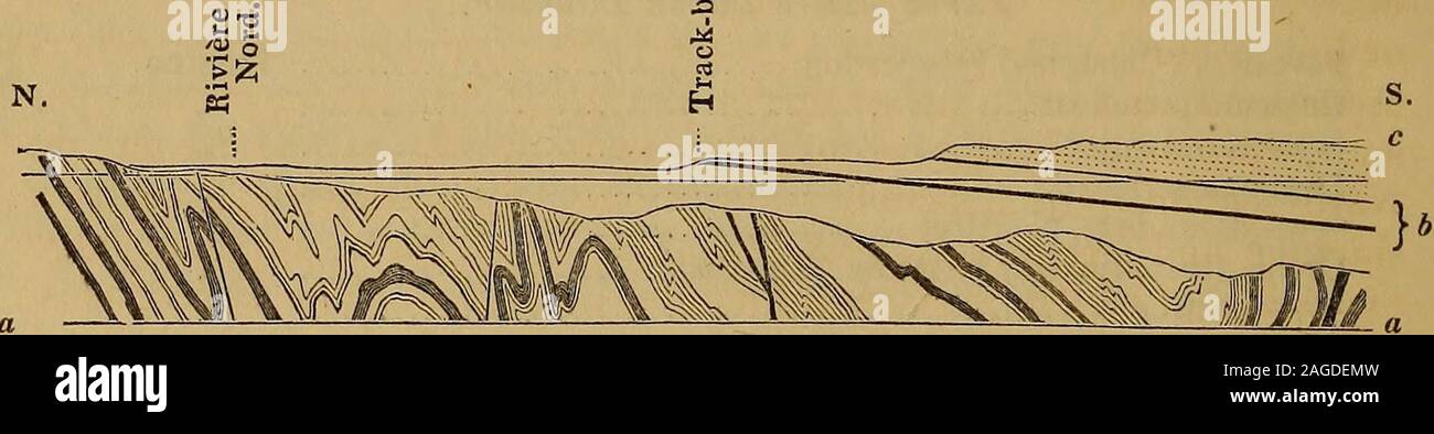 . The Quarterly journal of the Geological Society of London. [Mar. 24, Leptsena sericea; plentiful Trenton. deltoidea; very abundant „ alternata „ Orthis (testudinaria) striatula „ lynx „ pectinella „ bellarugosa? „ disparilis „ Echino-encrinites anatiformis; plentiful „ Glyptocrinus decadactylus „ Calymene senaria „ Isotelus gigas „ Atrypa plena Cbazy. Encrinurus, with punctured cheeks. Raphistoma, two undescribed species, found also at Poquettes Rapid, Allumettes Island.Atrypa, allied to A. extans. or Rhynconella, allied to A. navicula, but with a sinus in the front of the larger valve.Fenes Stock Photo